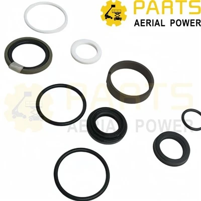 Seal Kit Cylinder Oil Seal 00003057 For DINGLI factory