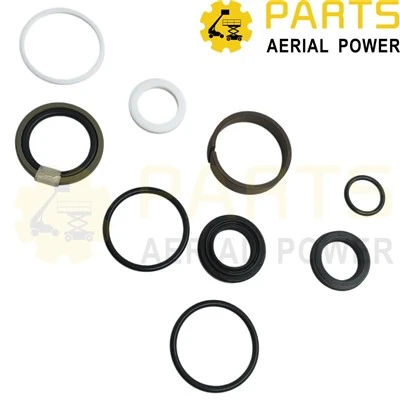 Seal Kit Cylinder Oil Seal 00003057 For DINGLI best