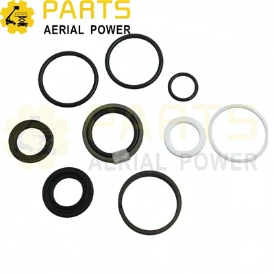 Seal Kit Cylinder Oil Seal 00003057 For DINGLI suppliers